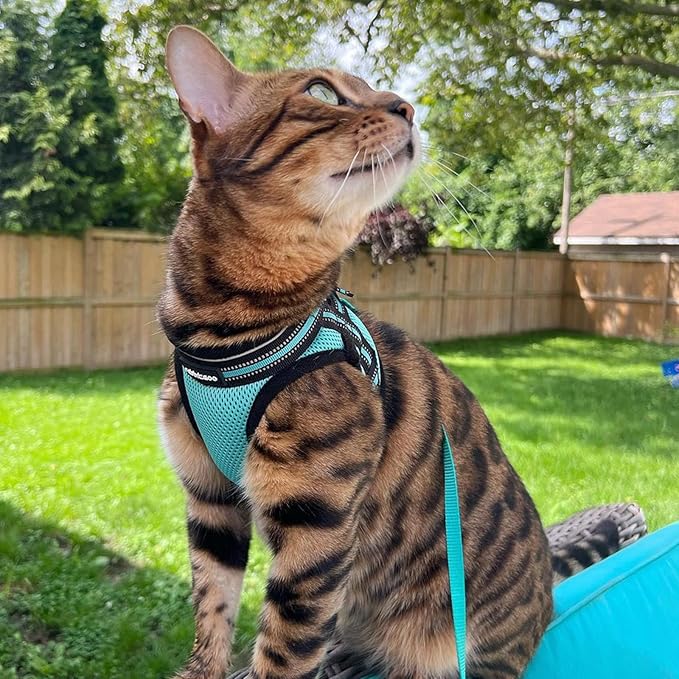 rabbitgoo Cat Harness and Leash Set for Walking Escape Proof, Adjustable Soft Kittens Vest with Reflective Strip for Cats, Comfortable Outdoor Vest,Green,L