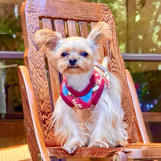 2-Piece Tiny Pet Clothes, Ultra Soft Sweater Shirts for Newborn/Teacup Cats & Dogs (e.g., Chihuahuas, Yorkies, Miniature Pinscher), Other Small Animals (Reindeer, XXXS)