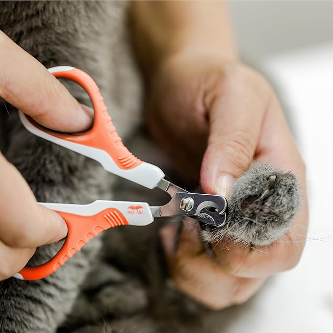 Mr. Pen- Cat Nail Clipper, Stainless Steel, Professional Sharp Cat Claw Trimmer for Small and Medium Cats, Pet Nail Clipper with Sturdy Non Slip Handle