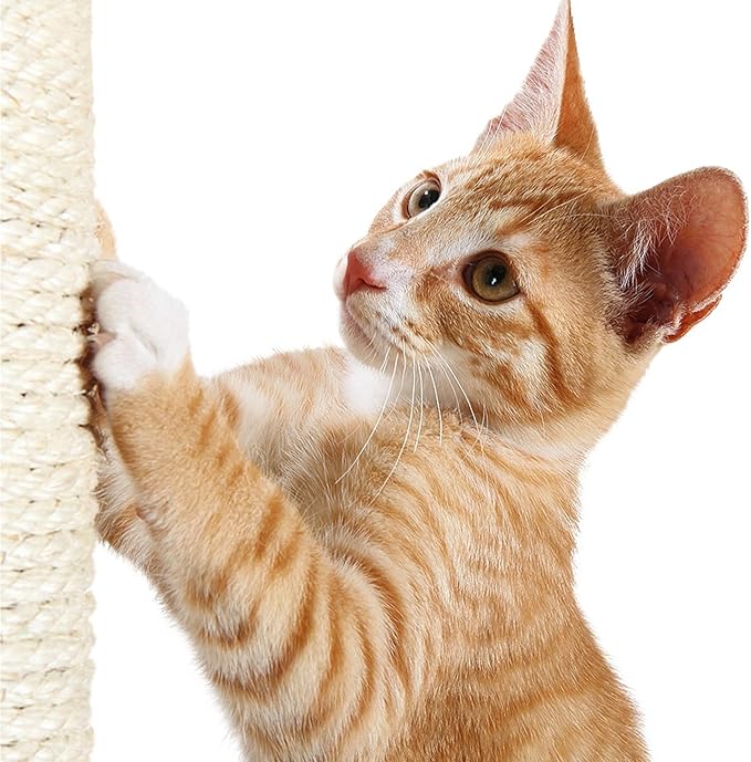 TRIXIE Replacement Sisal Post for Cat Scratching Posts, Backup Scratcher for Indoor Cat Furniture, Trees and Towers, 3.5 in x 19.7 in (9 cm x 50 cm)