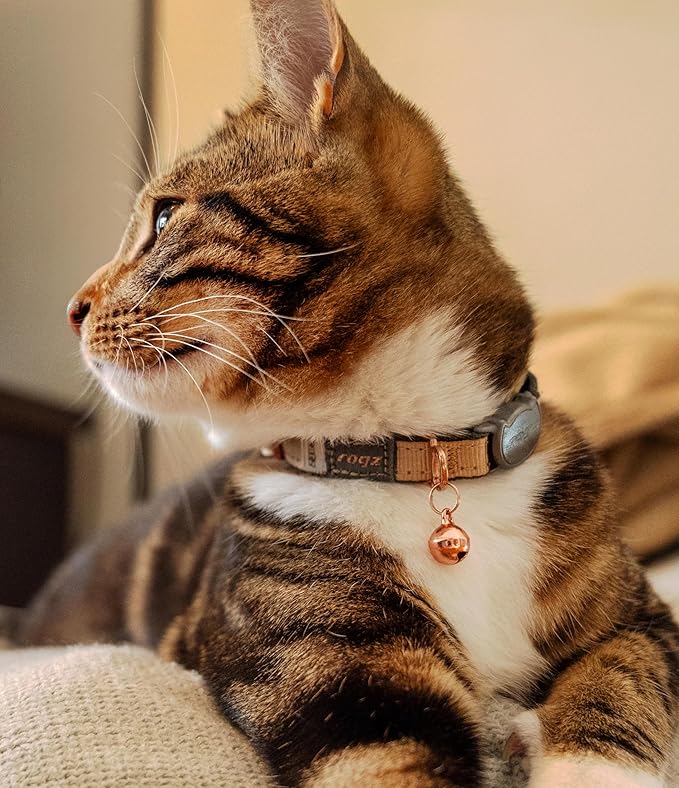 Rogz Urban Cat Safety Collar Small/Medium - Pink Blush
