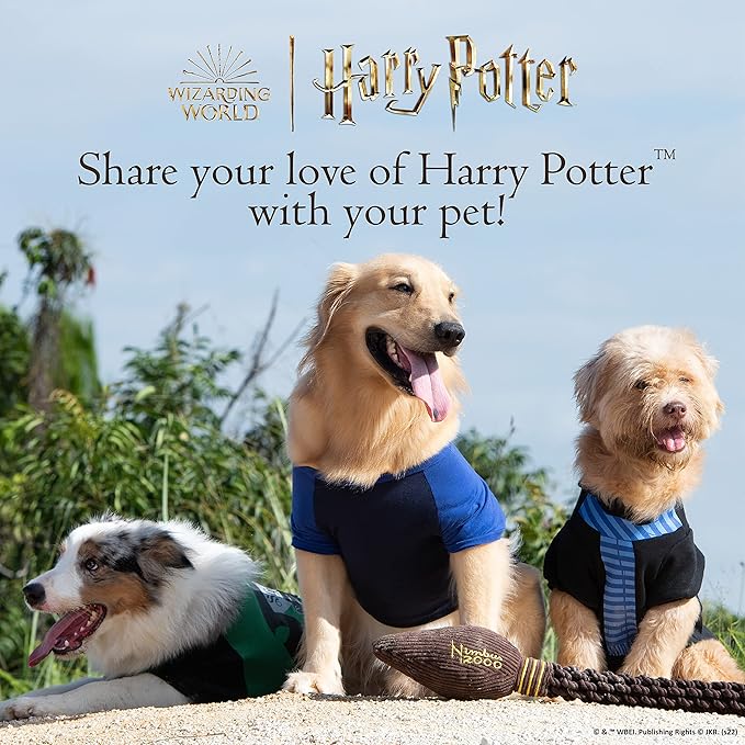 Harry Potter 2 Piece Dog Toy Set 6" You Know Who Plush Figure Toy and Dark Arts Plush Silhouette Flat Toy| Harry Potter Official Pet Toys and Accessories | Voldemort Dog Toy (FF22715)