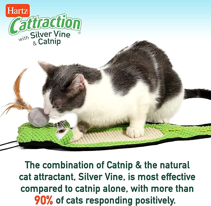 Cattraction with Silver Vine & Catnip Macaron Mice - 2 Pack,All Breed Sizes