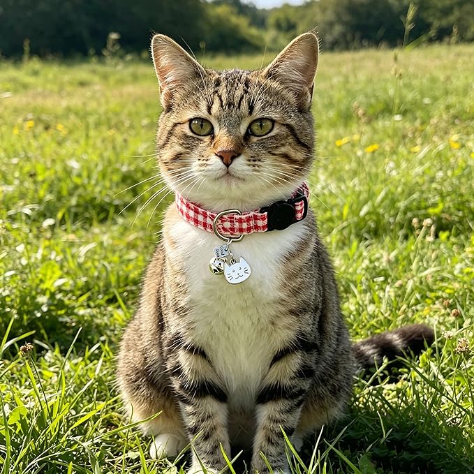 2 Pack Cotton Breakaway Cat Collars with Bell and Charms Red Solid Plaid Safety Collars for Girl Boy Cats, Cat Head and Paw Pendant Cute Kitten Collars