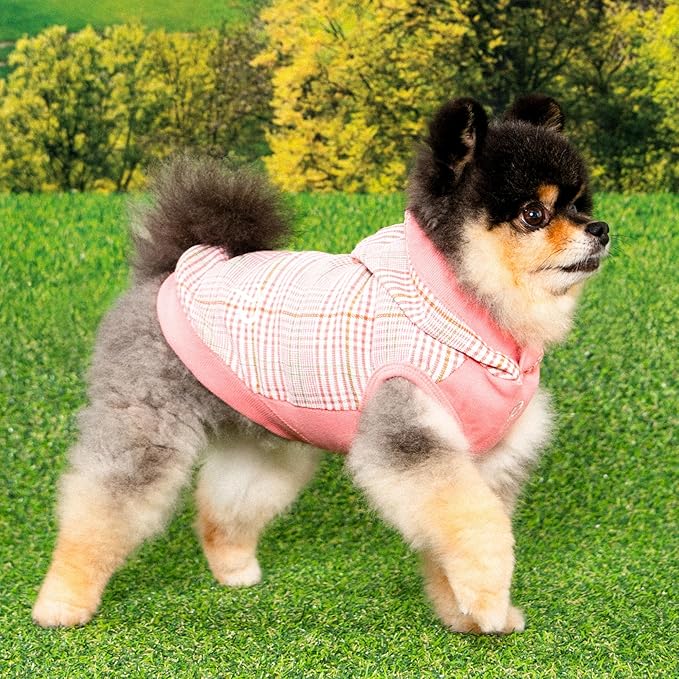 Puppia Daylan Dog Shirt Hooded Trendy Fashionable Cute Dog Apparel for Small and Medium Dogs, Pink, Medium