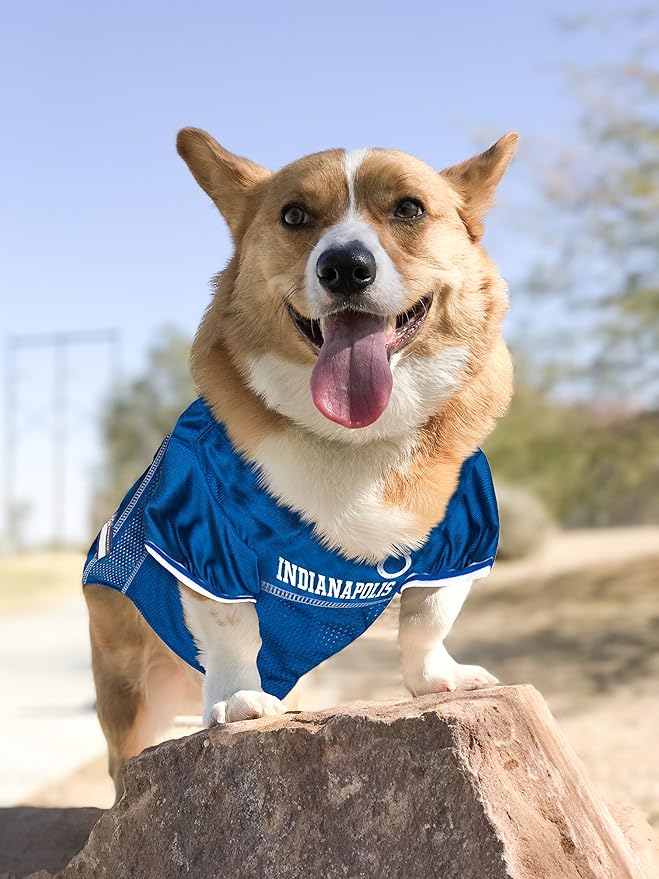 NFL INDIANAPOLIS COLTS DOG Jersey, Small