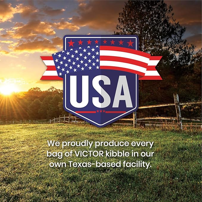 VICTOR Super Premium Cat Food – Hi-Pro Plus Active Adult Cat and Kitten – Dry Feline Food for Active Cats – All Breeds and All Life Stages – Supports Energy, Healthy Coat, Immune Function, 5lb