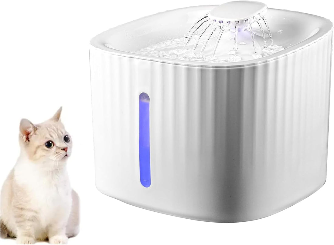 Keep Your Pets Hydrated: Why the TsoLay 3L Automatic Fountain is a Life-Changer 🐱🐶💦