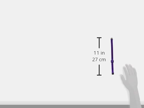 LupinePet Basics 1/2" Purple Cat Safety Collar , 8-12"