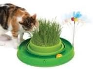 Catit Play Circuit Ball Cat Toy with Scratch Pad Catnip Toy, Green, 43002