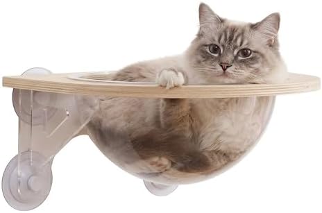 Wall Mounted Cat Bed, Space Capsule Perch with Clear Acrylic Bubble, Large Floating Wood Cat Shelf for Big Cats up to 16 lbs, Modern Feline Furniture & Climbing Wall Decor