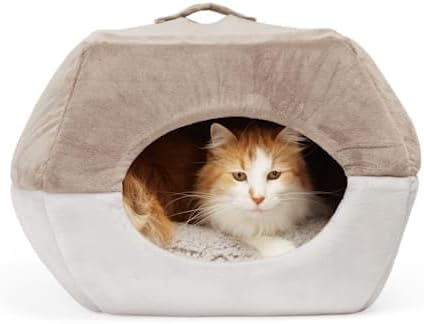 EveryYay by Petco 2-in-1 Novelty Pyramid Convertible Cat Bed 16" L X 16" W Gray