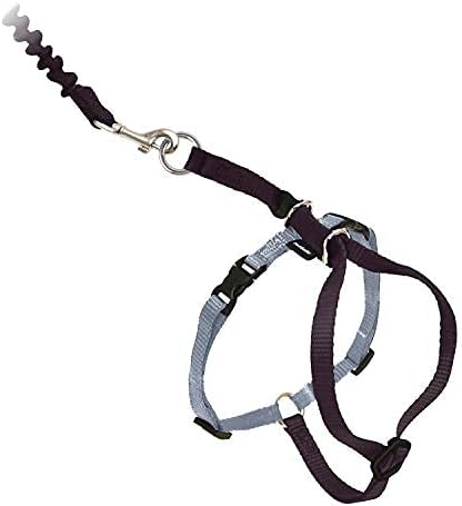 PetSafe Come with Me Kitty Harness and Bungee Leash Adjustable, Lightweight Harness for Cats Medium, Black