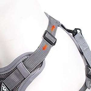 shudyear Cat Chest Harness and Leash Set Adjustable Anti-Escape Soft Mesh Cat Vest for Walking Outdoor (Blcak, L)
