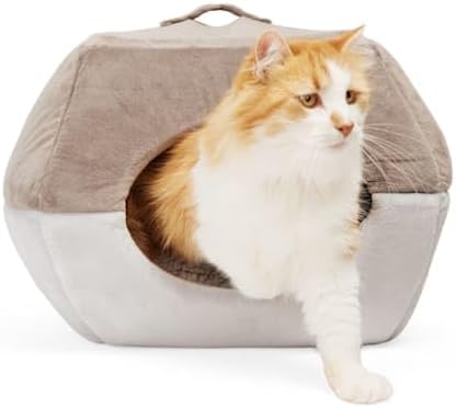 EveryYay by Petco 2-in-1 Novelty Pyramid Convertible Cat Bed 16" L X 16" W Gray