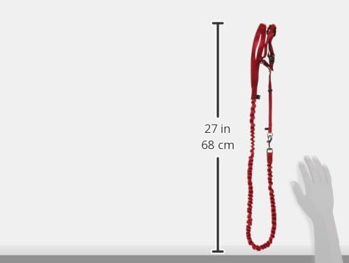 PetSafe Come with Me Kitty Harness and Bungee Leash Adjustable, Lightweight Harness for Cats Medium, Red