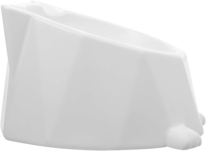 Alipis Ceramic Raised Cat Bowl Elevated Feeding Dish Non-Spill Pet Food Bowl for Daily Use Cats White