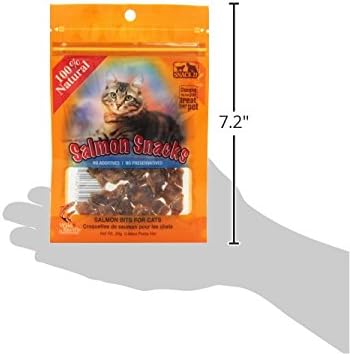 Snack 21 Salmon Snacks For Cats