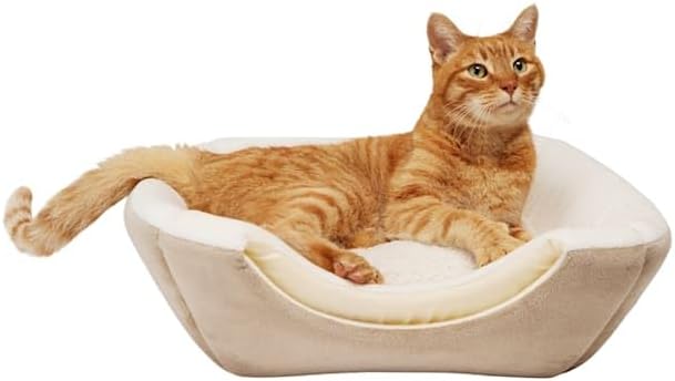 EveryYay by Petco 2-in-1 Novelty Pyramid Convertible Cat Bed 16" L X 16" W Taupe