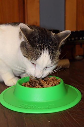 Pet Food and Water Bowl for Cats, Toy Breed Dogs, Bearded Dragons, Turtles, and Small Pets (3/4 Cup in Four Colors (Fucshia (Pink))
