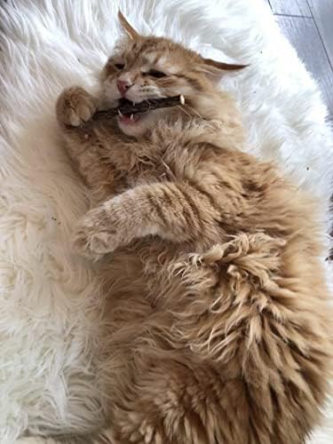 Meowy Janes 20 Ct Mini Matatabi Cat Chew Sticks - an All Natural Silvervine Cat Toy and Treat - Catnip Alternative