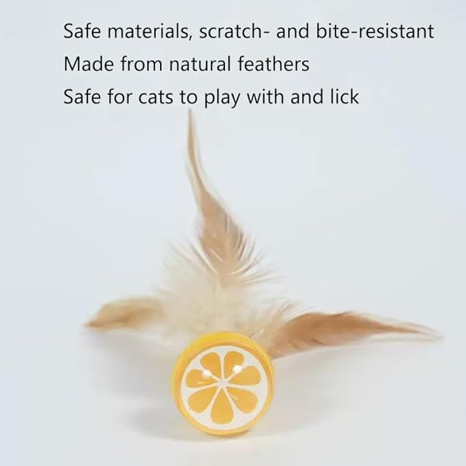 Fruit-Shaped 4-Pack Cat Ball Toy with Natural Feathers, Feather Cat Toy for Indoor Cats and Playful Kittens, Fun Exercise & Play