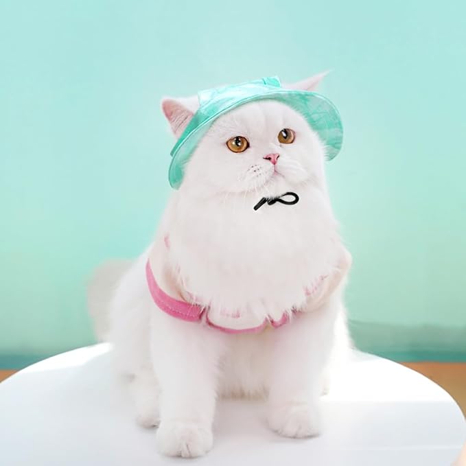 Cat Sun Hat, Baseball Cap with Ears Exposed, Outdoor Sports Hat, Suitable for Small Cats (Green, Medium)