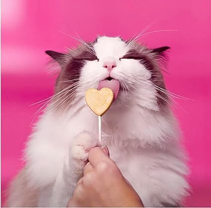 Purrpops Freeze Dried Lollipop Cat Treats, Chicken, Tuna, and Salmon Flavor, Treats for Training, for All Breeds and Ages, Food Topper (12 Pieces) 3-Pack