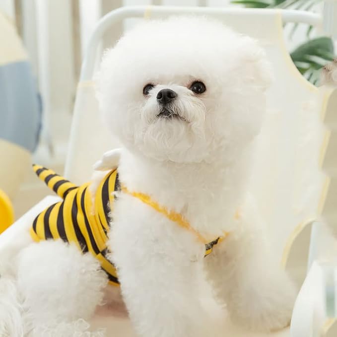 Funny Dog Swimwear Bikini Summer Dog Clothes Beach Swimsuit Puppy Bathing Suit Puppy Vest Cooling Pet Shirt for Small Dogs, Cat Apparel (X-Large, Yellow Bee)