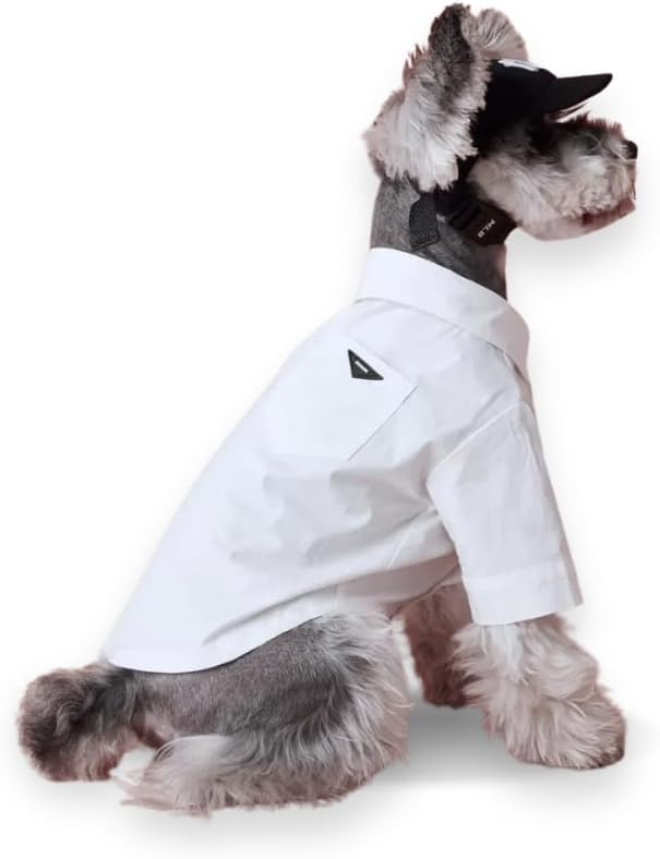 Luxury Pet Dress Shirt for Dogs & Cats – White Designer Button-Up Outfit, Formal Clothes for Wedding, Party, Photoshoot, Puppy & Kitten Fashion Apparel (Large 8.9–15.4 lbs)
