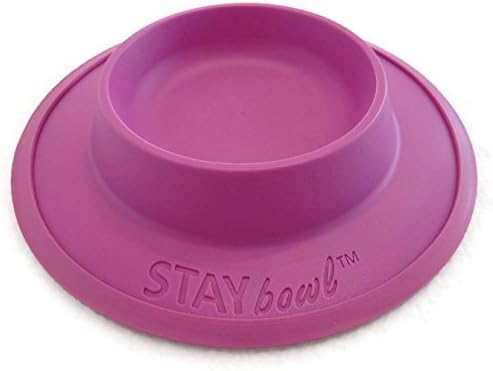 Pet Food and Water Bowl for Cats, Toy Breed Dogs, Bearded Dragons, Turtles, and Small Pets (3/4 Cup in Four Colors (Fucshia (Pink))