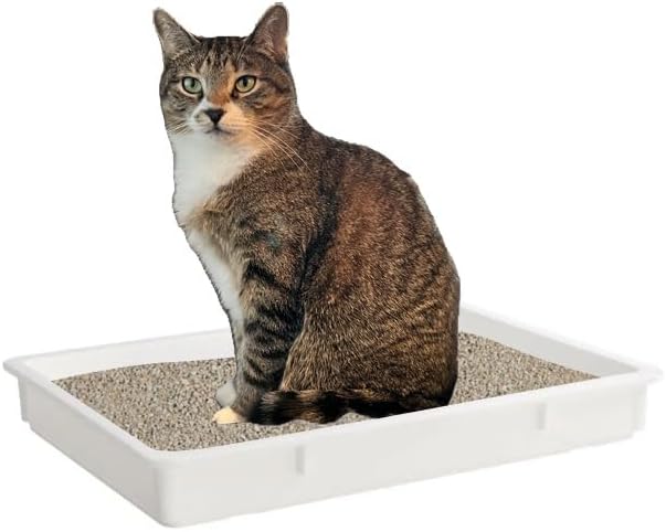 Central Exclusive Plastic Open Non-Stick Litter Box, Great for Small & Large Cats - 18" x 26" x 3"