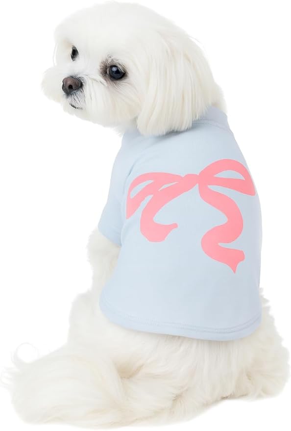 Luxury Designer Dog T Shirt – Trendy Puppy Clothes for Small Dogs, Fashion Pet Tee for French Bulldogs & Chihuahuas, Everything Chic Dog Apparel