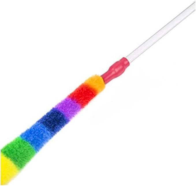 Rainbow Cat Charmer