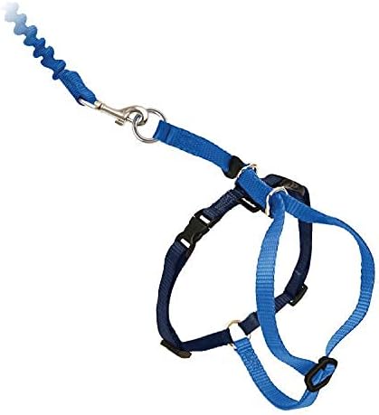 PetSafe Come with Me Kitty Harness and Bungee Leash - Medium, Royal Blue