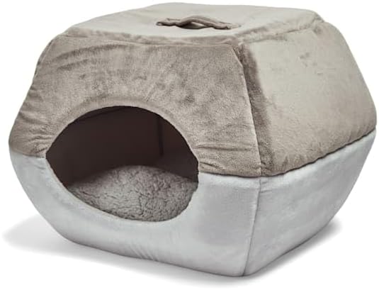 EveryYay by Petco 2-in-1 Novelty Pyramid Convertible Cat Bed 16" L X 16" W Gray