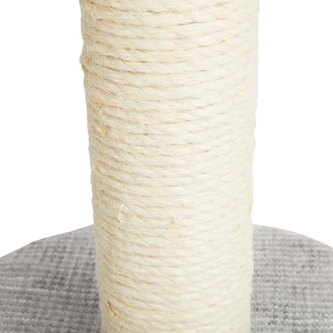 EveryYay by Petco Sisal Cat Scratching Post Grey 18.75" H