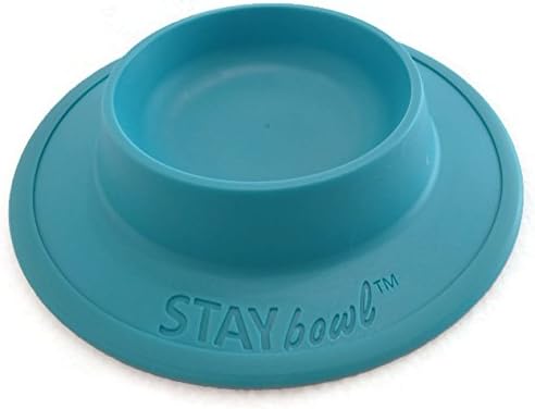 Pet Food and Water Bowl for Cats, Toy Breed Dogs, Bearded Dragons, Turtles, and Small Pets (3/4 Cup in Four Colors (Fucshia (Pink))
