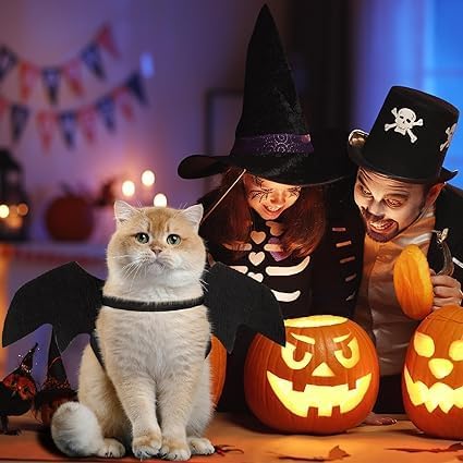 Cat Bat Wings Cat Bat Costume Cats Halloween Costumes Cute Bats Wings for Cats Kitten Halloween Costume Kitten Bats Wing Pet Halloweens Dress Up Accessories,Black S