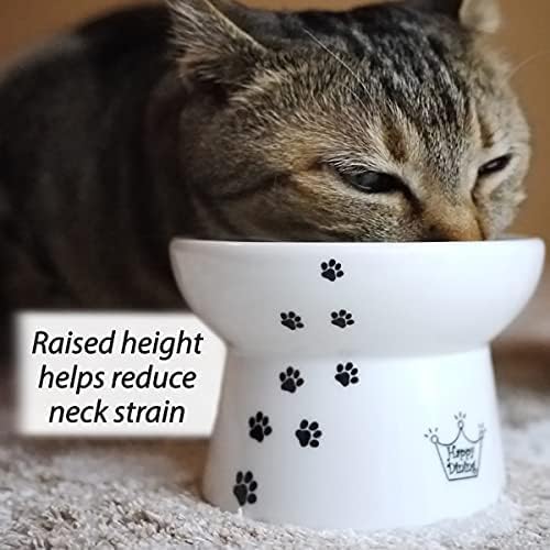 Necoichi Raised Cat Food Bowl – Ceramic Elevated Cat Bowl for Whisker & Neck Fatigue, Dishwasher Microwave Safe – Non-Slip & Anti Vomiting Ergonomic Design (Cats, Regular, 1-Cup Capacity)