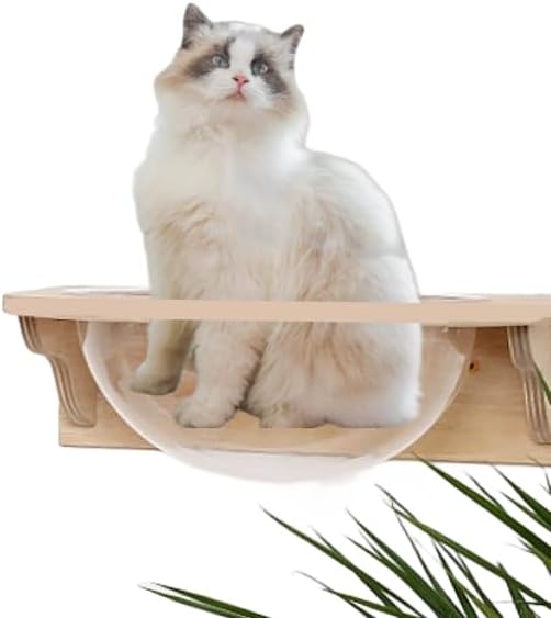 Cat Wall Shelves Wood for Large Cats,Wall Bubble House, Cat Wall Beds Furniture for Indoor Perch Transparent Capsule Bed Cat Steps-XL