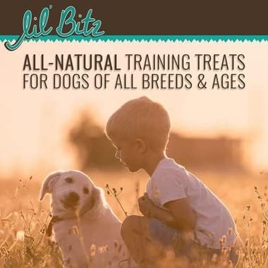 Lil' Bitz Soft & Chewy Training Treats for Dogs, Bite Size Reward Treats for Training & Positive Reinforcement, Grain Free Dog Treats Made with Wild Salmon & Kelp, All Breeds, 12 Pack (4 oz Each)