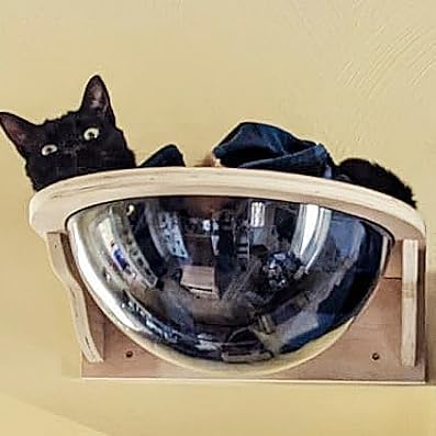 Black Large Cat Wall Shelves,Large Bed/Bubble for Cats Set Climbing Furniture, Wall Clear Cat Hammock Transparent Capsule Bed Set-1XL