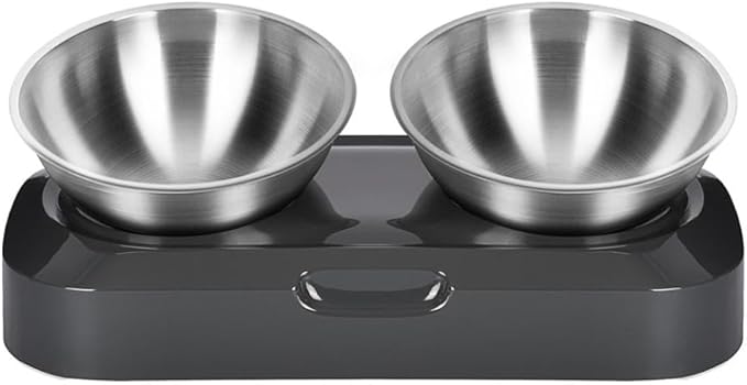 Adjustable Stainless Steel Slant Double Pet Bowl Set, Raised Cat Feeding and Watering Bowls for Kittens and Cats