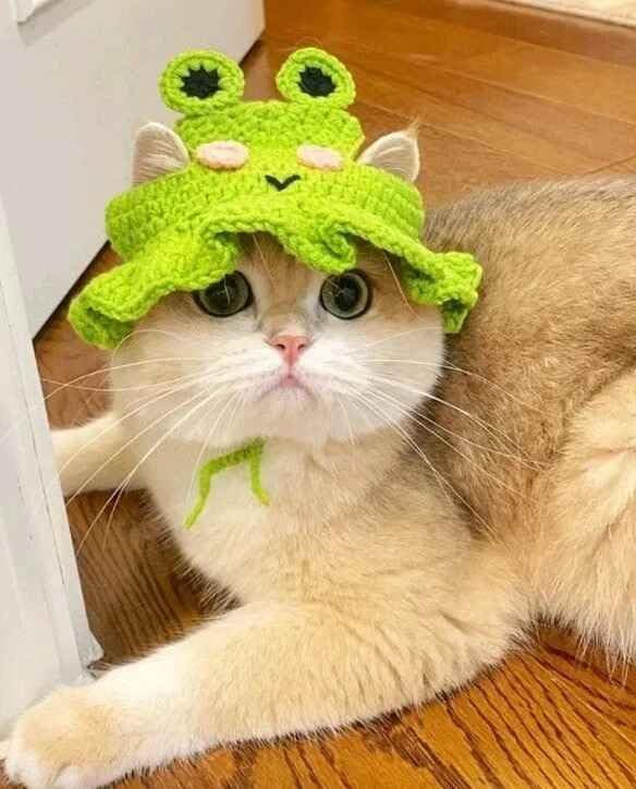 Cute Cat Hat Frog Shape Pet Cap Funny Costume Weaving Puppy Cat Hat Head Wear Accessories for Kitten