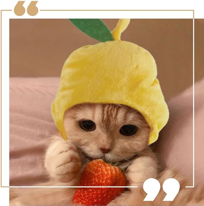 5 Pieces Cat Hat Adorable Cat Costume Outfit Bunny Hat with Ears Funny Mane Hat for Cats and Small Dogs Party Costume Accessory Headwear (Brown Bear-White Bear-Frog-Pear-Watermelon)-Not for Children