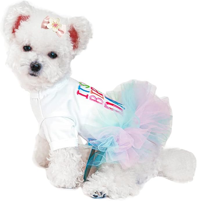 ANIAC Girl Dog Birthday Tutu Dresses Puppy Lace Skirt and Hairpin Cat Birthday Princess Dress Pet Clothes for Cats Small Dogs (X-Small, White)