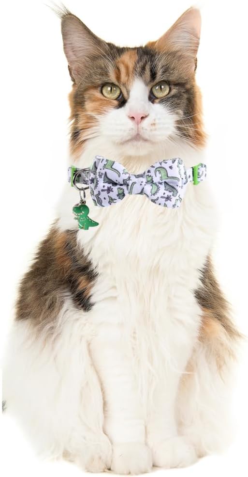 Cat Collar Breakaway with Cute Bow Tie Bandana and Bell Dinosaur Accessories for Kitty Adjustable Safety