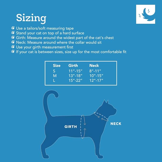 RC Pets Adventure Kitty Cat Harness | Adjustable Airmesh Vest with D-Ring and 6ft Leash for Walking and Travel | Raspberry, Large
