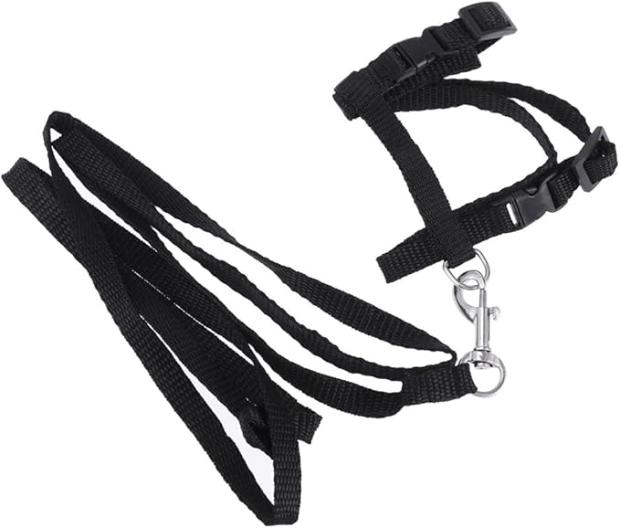 Toddmomy Cat Harness Leash for Kittens Adjustable Nylon Leash Breathable Mesh Vest PET Supplies for Walking Black